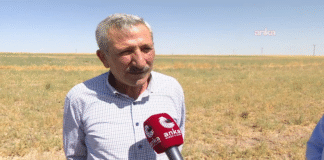 Kırşehir’de Çiftçiyi Don ve Kuraklık Vurdu: “Mercimekte Yüzde 100 Kayıp”
