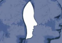 Kötülük Üzerine: Bireyin Gölgesinden Toplumun Yapısına