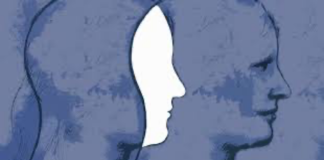 Kötülük Üzerine: Bireyin Gölgesinden Toplumun Yapısına