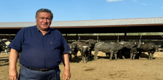 CHP’li Gürer: “Manda İklim Değişikliğinin En Çarpıcı Kurbanı Olabilir”