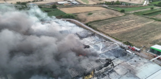 Balıkesir’de Süt Ürünleri Fabrikasında Yangın: İki İşçi Hayatını Kaybetti