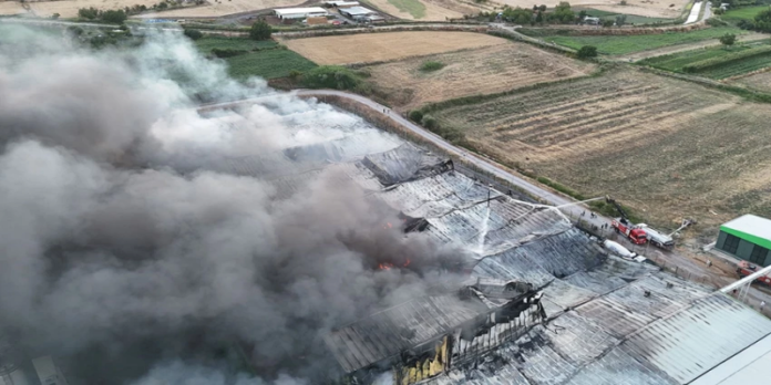 sutfabrikasi7202-skjf