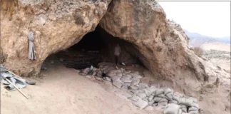 9.200 Yıl Önce Orta Asya’da Taş Oraklarla Yabani Tahıl Hasadı Yapılmış