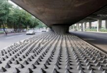 Otokrasi ve Estetiğin Şatafatlı Yüzü