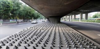 Otokrasi ve Estetiğin Şatafatlı Yüzü