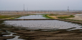 Kutsal Nehirde Endişe: Ganj’daki Kuraklık Tarihi Boyutlarda