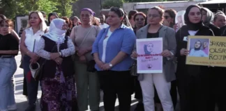 Rojin Kabaiş İçin Diyarbakır’da Kitlesel Basın Açıklaması: “Bir Yıldır Adalet Arıyoruz”