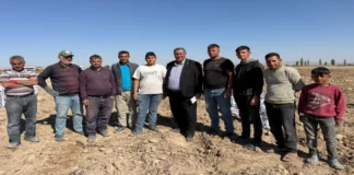 Niğdeli Üreticilerden Çarpıcı İsyan: “Çalışa Çalışa Battık”