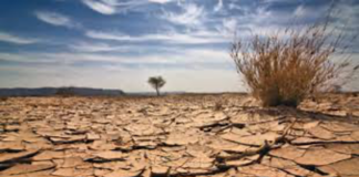 Küresel Su Krizi Derinleşiyor: İran’ın “Su İflası” Uyarısı Dünyanın Geleceğine Ayna Tutuyor