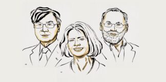 Araştırmacılar Bağışıklık Sisteminin Frenini Keşfettiler