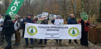 Belgrad Ormanı İçin Kırmızı Alarm: “Ormanlar İşletme Değildir”