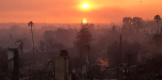 WWA Raporu: İklim Krizi 2025’te Aşırı Hava Olaylarını Daha Sık Ve Daha Yıkıcı Hale Getirdi