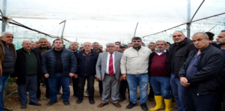 Mersinli Çiftçiler İflas Eşiğinde: “Üretiyoruz Ama Kazanamıyoruz”