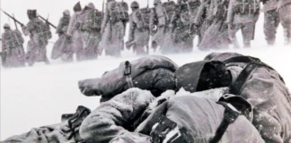 Sarıkamış’ta Donarak Gelen Yenilgi: Bir Askerin Tanıklığı, Bir İmparatorluğun Akıl Tutulması