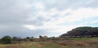 Kültür Bakanlığı’nda Dijital Sahtecilik: Hazine Arazileri Satışa Çıkarıldı