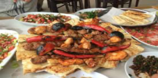 Genetik Bir Kilit Daha Açıldı: İştah Kontrolünde İki Proteinin Sessiz Ortaklığı