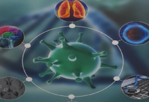 Göğüs Hastalıklarında HIV Testi: Tanıdaki Kör Noktalara Bilimsel Uyarı