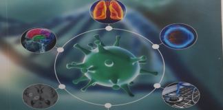 Göğüs Hastalıklarında HIV Testi: Tanıdaki Kör Noktalara Bilimsel Uyarı