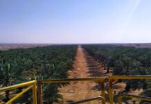 Çöllerden Atmosfere: Bir Bilim İnsanı İklim Biliminin Kör Noktalarını Dolduruyor