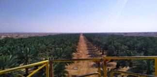 Çöllerden Atmosfere: Bir Bilim İnsanı İklim Biliminin Kör Noktalarını Dolduruyor