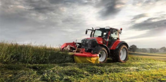 Kent Tarımı Vurgusu: İBB’nin Yerel Üretim Hamlesi Gıda Güvenliği Tartışmasını Yeniden Açtı