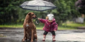 İyilik Bir İnanç Meselesi Değil, Bir Düzen Meselesidir