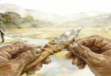 Doğu Asya’nın “Geri” Olduğu Varsayımı Çöküyor: Çin’de 160 Bin Yıllık Gelişkin Saplı Taş Aletler