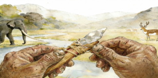 Doğu Asya’nın “Geri” Olduğu Varsayımı Çöküyor: Çin’de 160 Bin Yıllık Gelişkin Saplı Taş Aletler