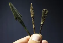 Zehirli Oklar Tarihi Geriye Çekti: İnsanlık Silahlanmayı 60 Bin Yıl Önce Öğrendi