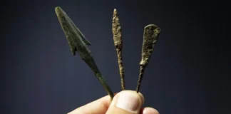 Zehirli Oklar Tarihi Geriye Çekti: İnsanlık Silahlanmayı 60 Bin Yıl Önce Öğrendi