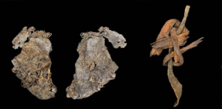 12 Bin 400 Yıllık Dikiş, İnsanlığın Giyinme Tarihini Geriye Çekiyor