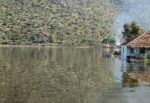 Söke Ovası Yeniden Deniz Oldu: Taşkın Yalnızca Yağmurun Değil Müdahalenin Sonucu