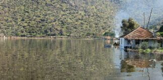 Söke Ovası Yeniden Deniz Oldu: Taşkın Yalnızca Yağmurun Değil Müdahalenin Sonucu