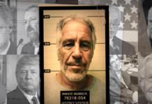 “Yağmacı İçgüdüler, Aylak Sınıflar ve Ulusötesi Kapitalist Yırtıcılar”: Epstein Dosyaları Üzerine Sistem Eleştirisi