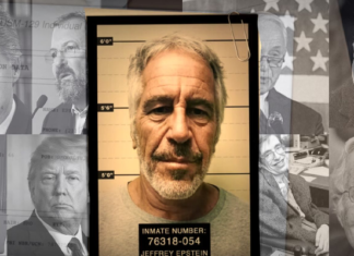 “Yağmacı İçgüdüler, Aylak Sınıflar ve Ulusötesi Kapitalist Yırtıcılar”: Epstein Dosyaları Üzerine Sistem Eleştirisi