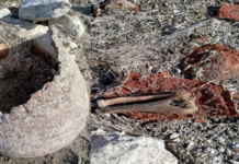 Kuraklık Eğirdir Gölü’nün Altındaki Tarihi Açığa Çıkardı