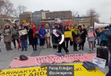 Beşiktaş’ta “Katliam Yasası” Protestosu: “Sokakları Hayvanlardan Değil Nefretten Temizleyin”