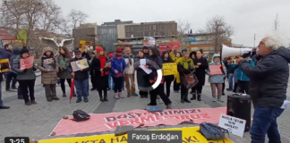 Beşiktaş’ta “Katliam Yasası” Protestosu: “Sokakları Hayvanlardan Değil Nefretten Temizleyin”