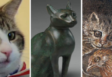 Kediler: Tahıl Ambarlarından İktidar Koridorlarına Uzanan 10 Bin Yıllık Sessiz Ortaklık