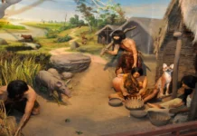 Tohumla Başlayan Eşitsizlik: Neolitik Devrim, Artı Ürün ve Sınıflı Toplumun Doğuşu