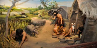 Tohumla Başlayan Eşitsizlik: Neolitik Devrim, Artı Ürün ve Sınıflı Toplumun Doğuşu