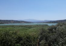 Sulak Alanlar Yok Olurken Biyolojik Çeşitlilikle Birlikte Gelecek De Kuruyor