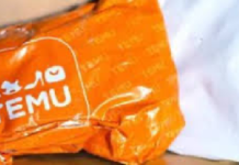 Temu Türkiye’ye Şirket Kurarak Döndü, Gümrük Kısıtlaması Yeni Modelle Aşıldı