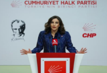 Ormanlar Sessizce Daralıyor: Rant Politikaları Doğayı Geri Dönülmez Eşiğe Sürüklüyor