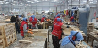 Çalışırken Ölmek: Türkiye’de Kadın Emeğinin Görünmeyen Bedeli