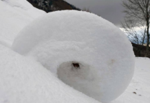 Amasya Yaylalarında Ortaya Çıkan Nadir Kar Ruloları