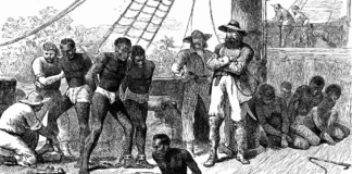 Kölelikte Uzlaşma, Tazminatta Ayrışma: BM Oylaması Batı’nın Sınırlarını Ortaya Koydu