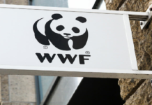 WWF-Türkiye’den Sert Uyarı: “Dağ Çökerse Şehir Göçer”