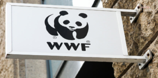WWF-Türkiye’den Sert Uyarı: “Dağ Çökerse Şehir Göçer”