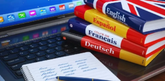 Dil Çeşitliliğinin Ardındaki Ortak Zihin: Evrensel Dilbilgisi Tartışması Güçleniyor